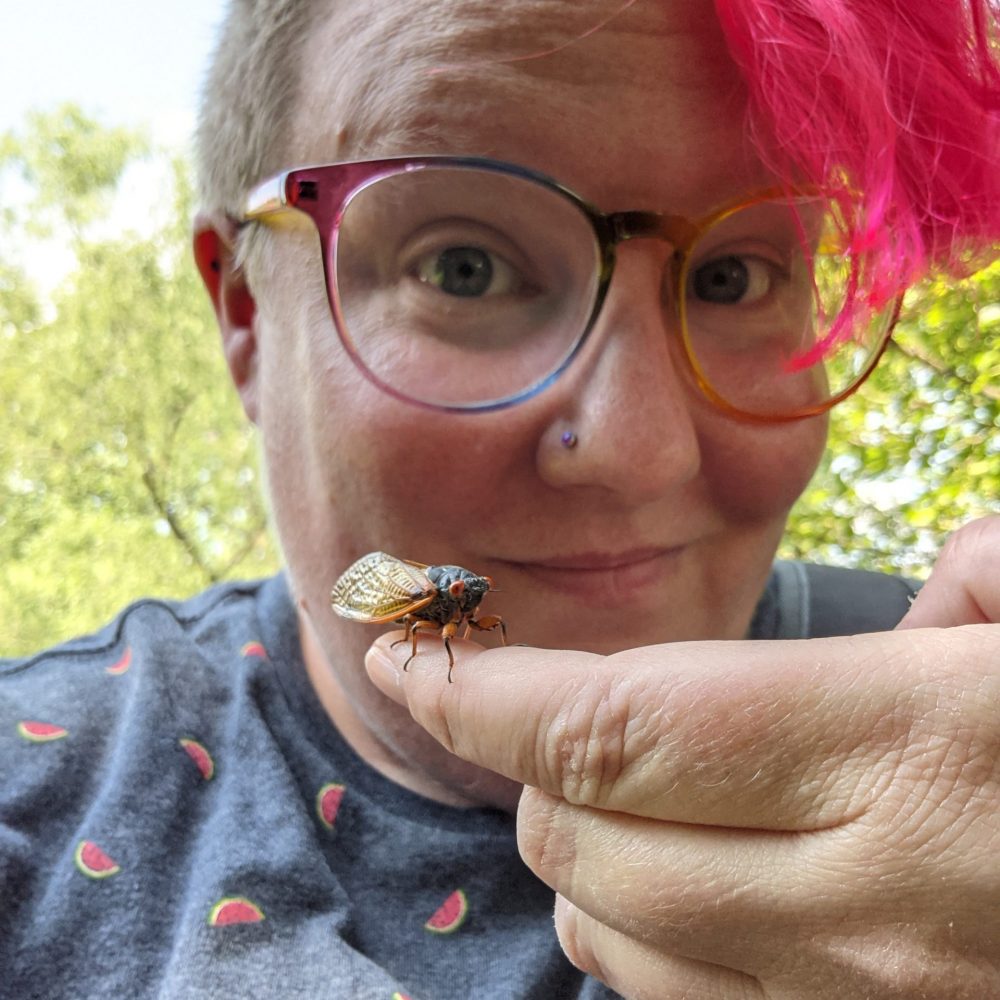 Light-skinned person with bright pink short hair and glasses holding a cicada on their finger